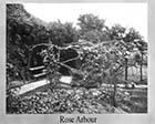 Ladies College Rose Arbour  | Margate History